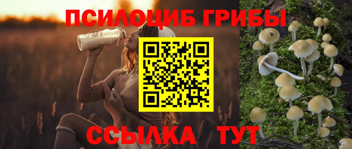 Реж  Галлюциногенные грибы Magic Shrooms  Вход с VPN  Галлюциногенные грибы MAGIC MUSHROOMS 